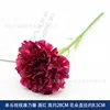 Single-headed short-stemmed carnation - wine red