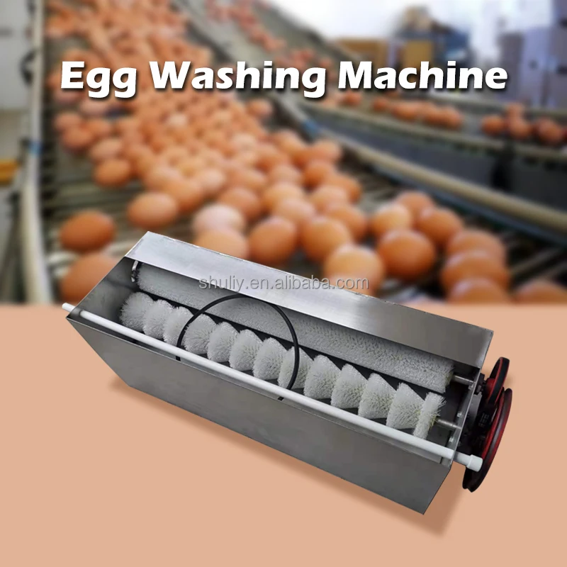 Automatic Egg Cleaner Equipment Egg Washing Machine For Sale Buy Egg