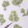 Fleur sèche