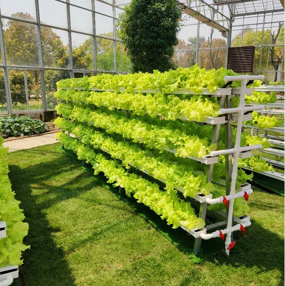 New Design Hydroponic Nft Channel Vertical Nft System for Sale