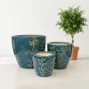Small short model polished glaze dark blue
