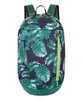 Foglia Verde
