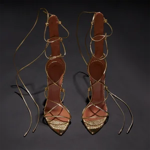 Gladiator Ankle Strap Lace up High Heels Pointed Toe Heeled Sandals for Women