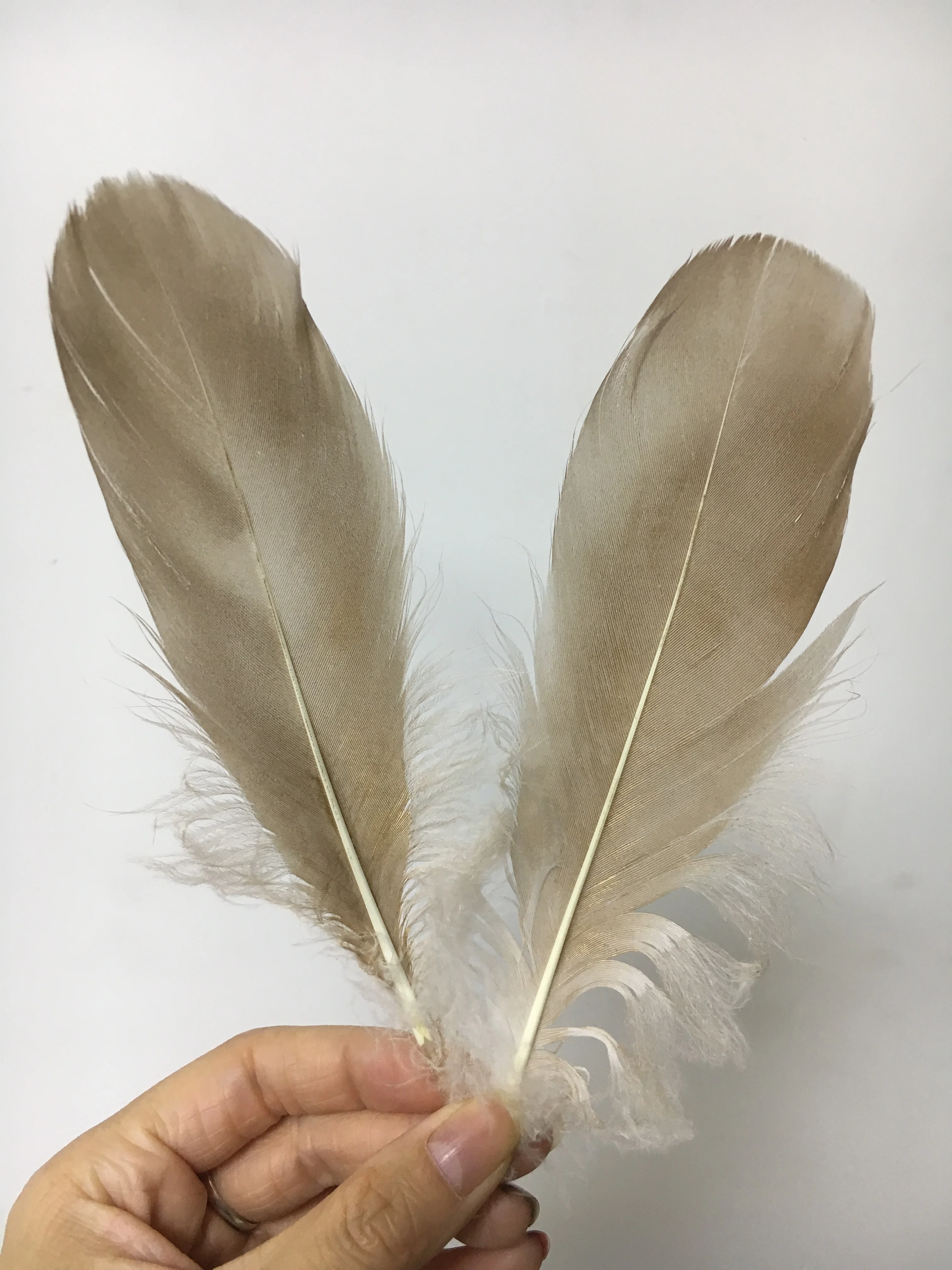 15-17cm wide 2Meter/pk Goose Feather Trim with Painted Gold Feathers Tip  16color