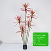 180cm five-stemmed red agave with rainbow ferns
