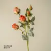 Tangerine red rosa rola