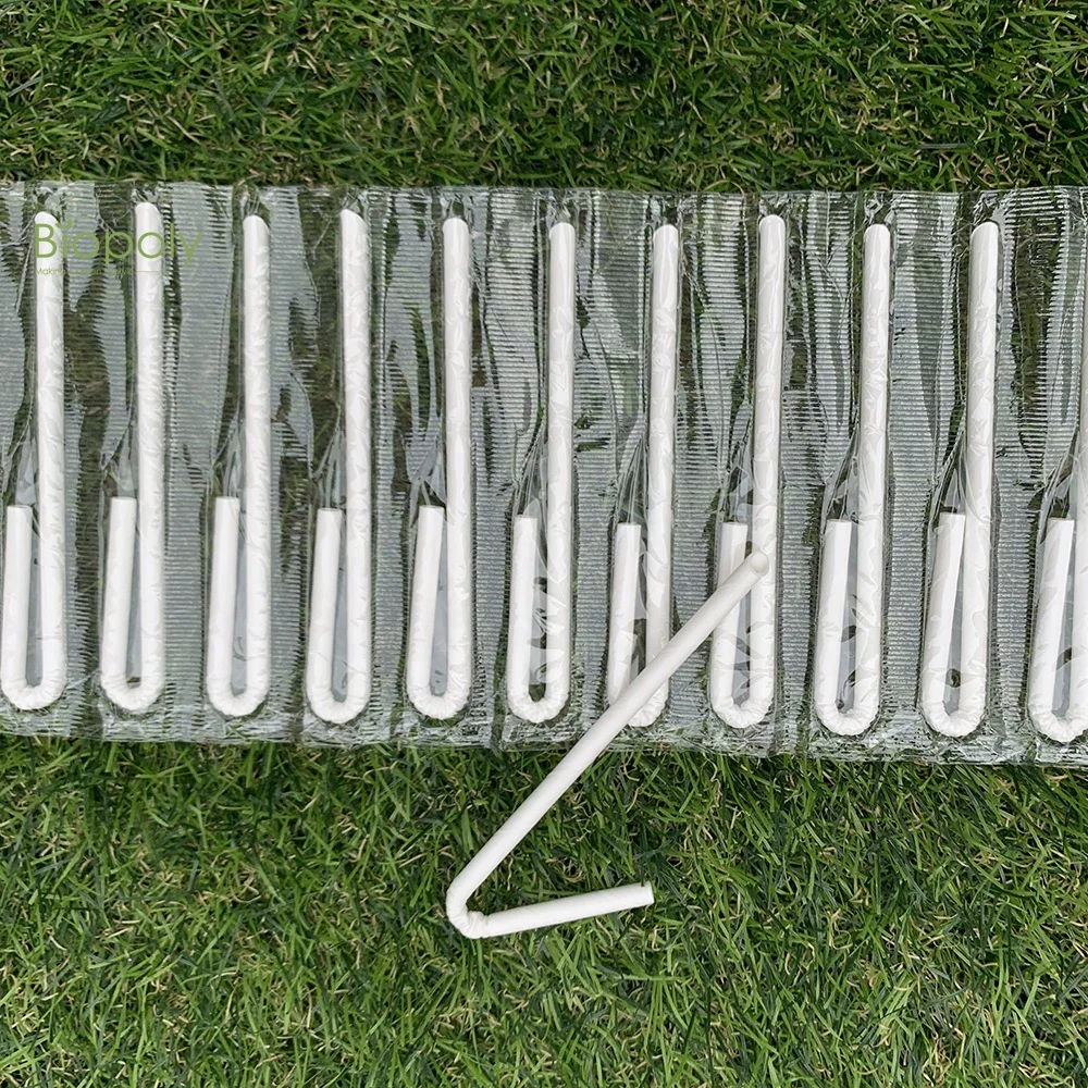 堆肥生物降解 u paper 弯曲吸管牛奶果汁盒纸独立包装