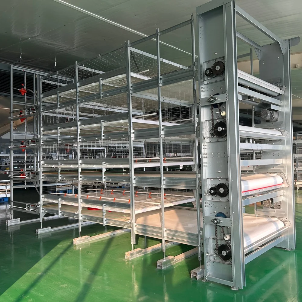 Factory Price Broiler Chicken Farm Automatic Feeder Pull-Out Slat Automated Harvesting Broiler Chicken Cages for Sale