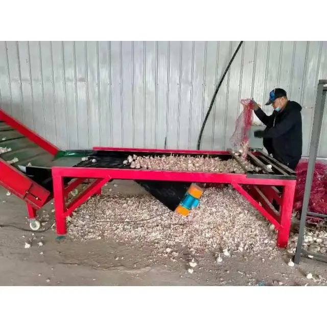 Factory Direct Price Heavy-Duty Level 6 2000kg Weight Fruit and Vegetable Sorting Machine for Commercial Food Production