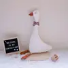 Big white goose