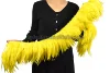 yellow saddle feather