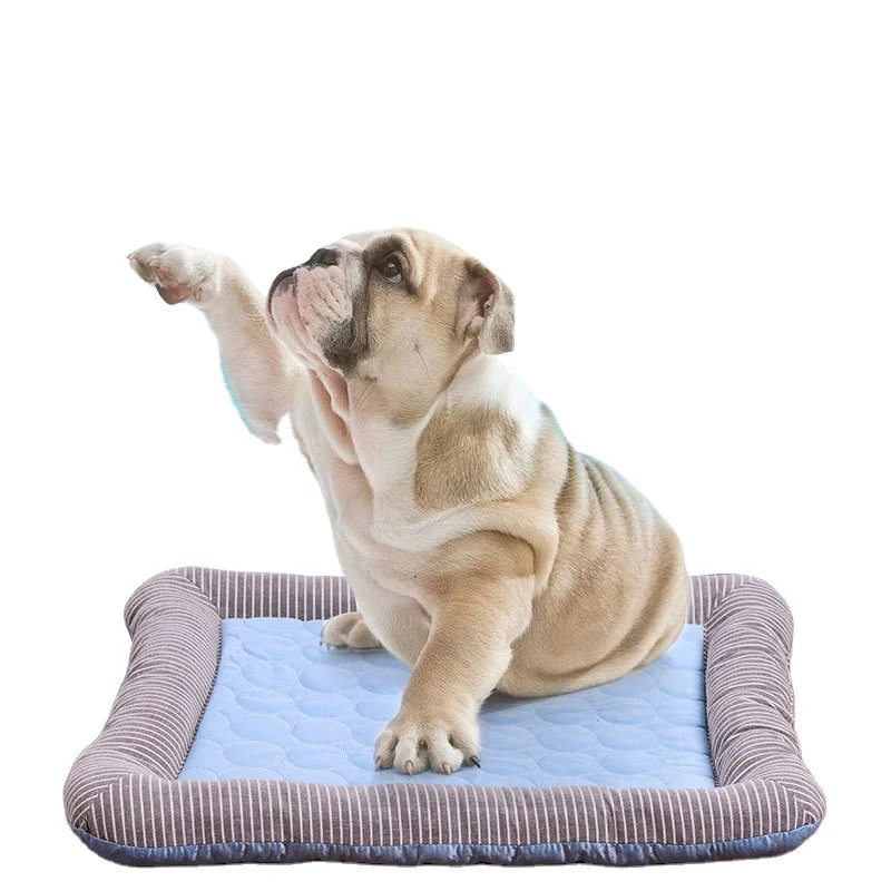 male dog harness