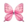 #5Multicolore