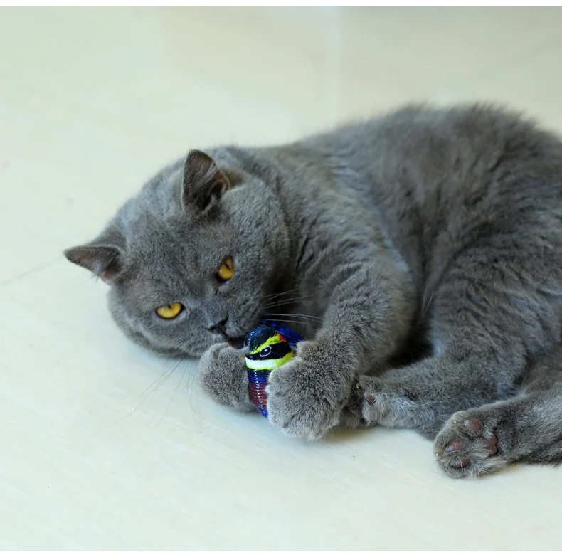Simulation Calling Bird Cat Toy Adult Cat Baby Cat Companion Boredom Catnip Toy Dog Boredom Pet Supplies factory