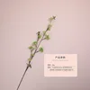 Green (single payment)