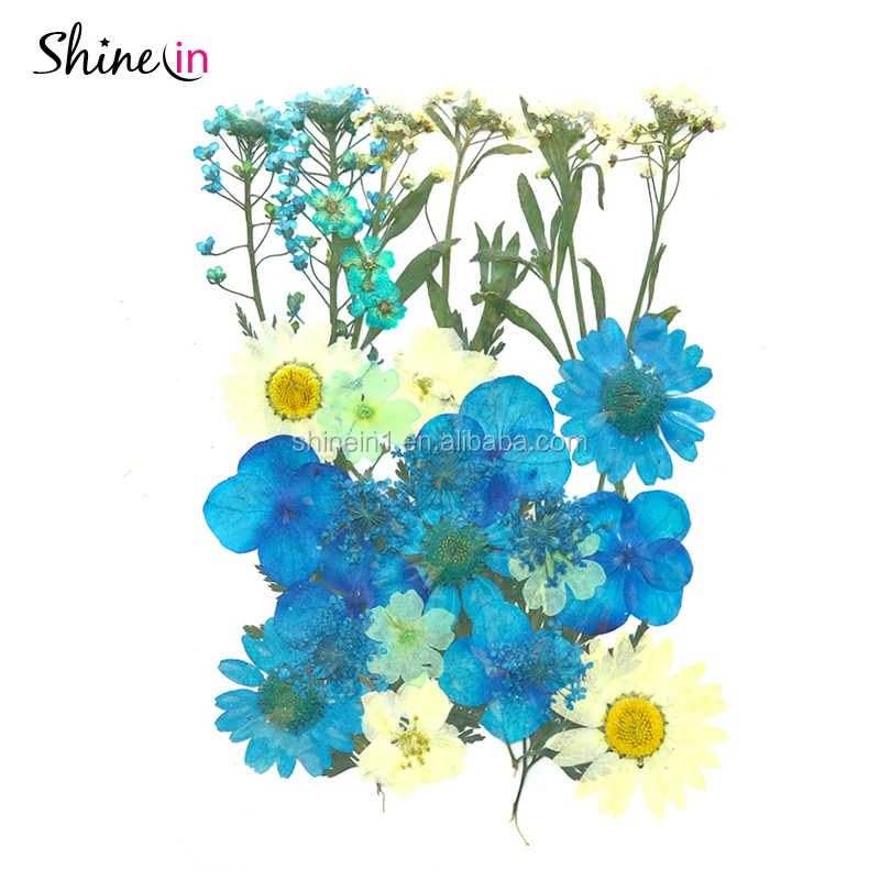STK0996-1