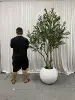 2.3M/7,55ft; Con la pentola