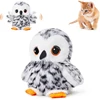 Snowy Owl