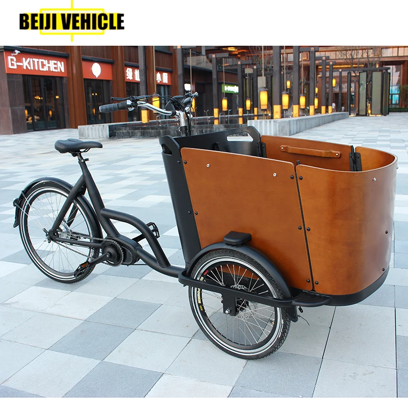 Urban Family Electric Cargo Bike For Sale - Buy Car Bike Trailer,Cargo ...