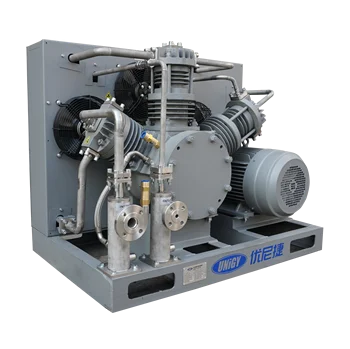 Oil-free Hydrogen Compressor OF60-50-2-DP JUL18