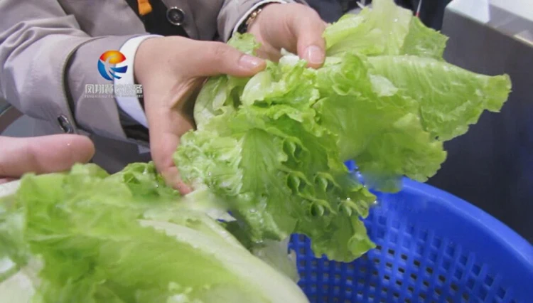 Commercial Spinner Type Cabbage Fruit Vegetable Centrifugal Dehydrator Machine