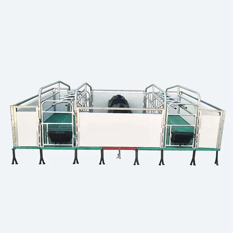 Customize Logo Pig Sow Farrowing Crates For Pig Farming Buy Pig