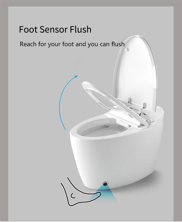 Ceramic Automatic Self Flushing Bathroom Smart Toilet Egg Shape Intelligent Sanitary Ware Bidet Toilet Bowl supplier