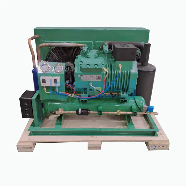 10 Ton Condensing Unit Cold Room Blast Freezer 2des Condensing Unit Made in China Refrigeration Unit