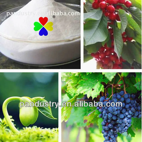 Регулятор роста растений GA3 90% tc gibberellic acid