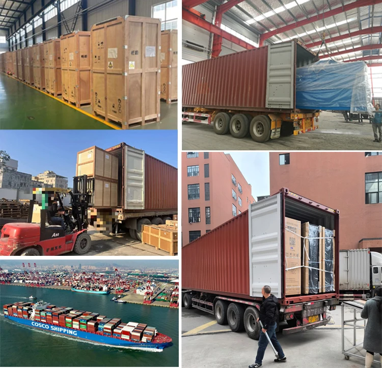 Feed Pellet Plant Free Customized Cattle Livestock Animal Chicken Poultry Feed Pellet Machine for Animal Feeds