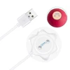 Rose Charger(only the charger)