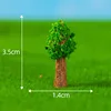 N.12 Alberi a Testa Piccola