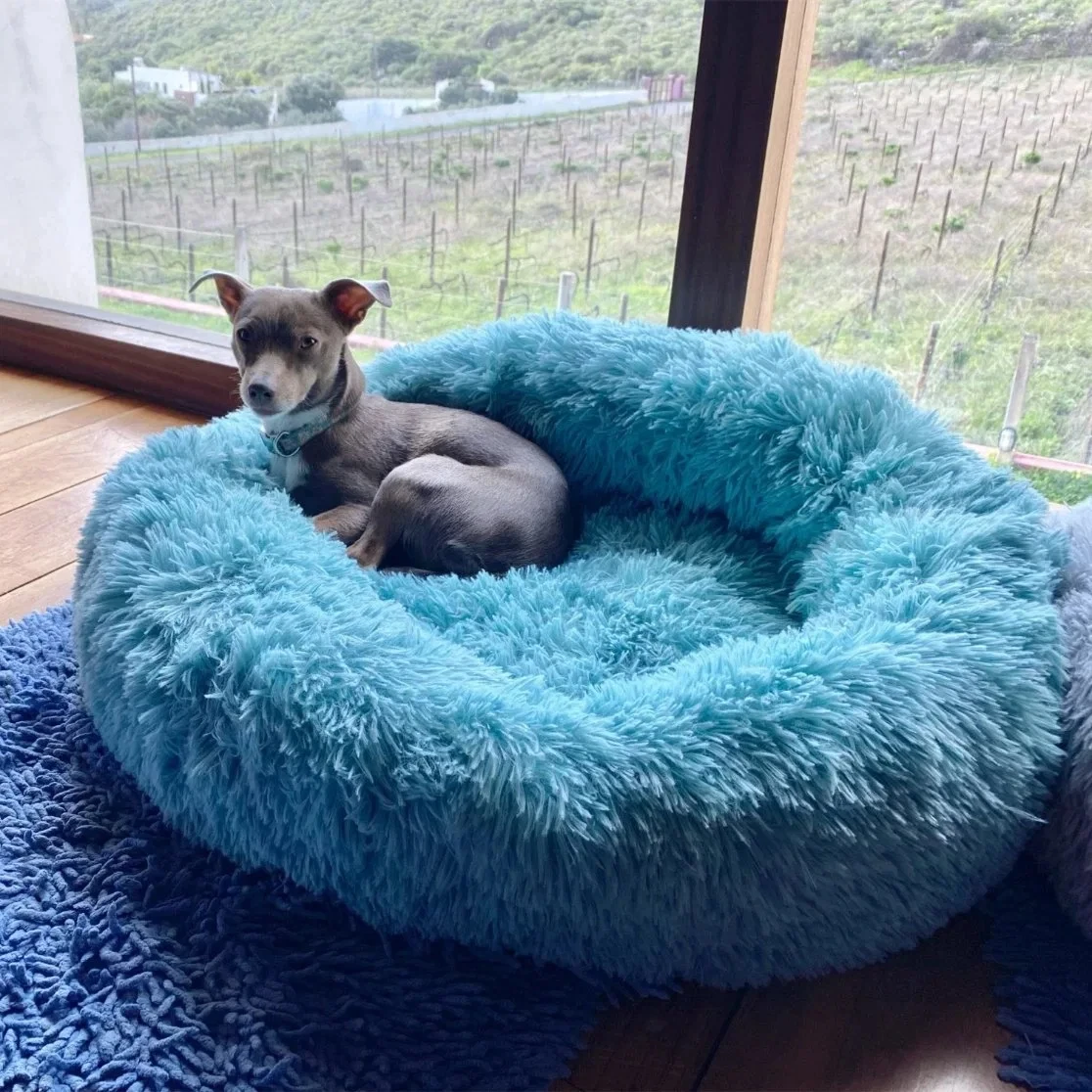 Pet cushion plush soft donut dog bed accessories washable calming sofa camas para perros large custom luxury cat dog pet bed