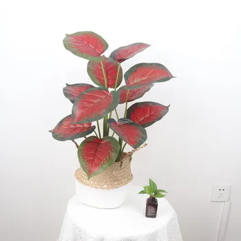 New product Indoor Decoration Real Touch Feel Mini Artificial Tropical Plants Flowers Bonsai