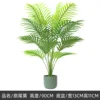 90cm nouveau sanwei kwai