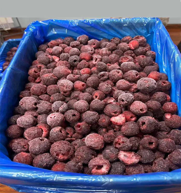 China Supplier IQF Frozen Fruits Healthy Natural Frozen Bayberry