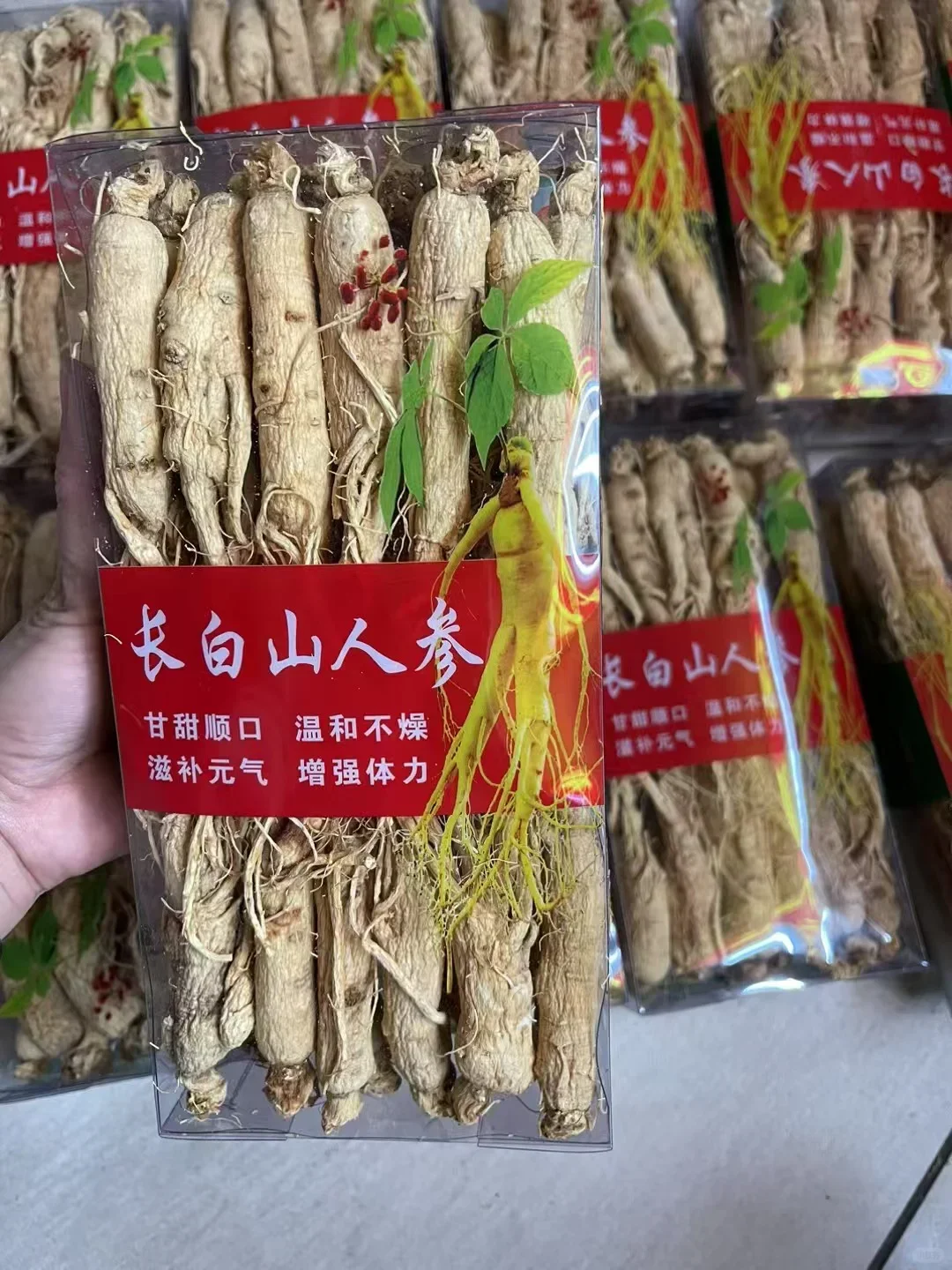 長白山産　乾燥山参 贈答用箱入り 中国産高品質乾燥ハーブ単品香辛料大粒生長白山白参根| Alibaba.com