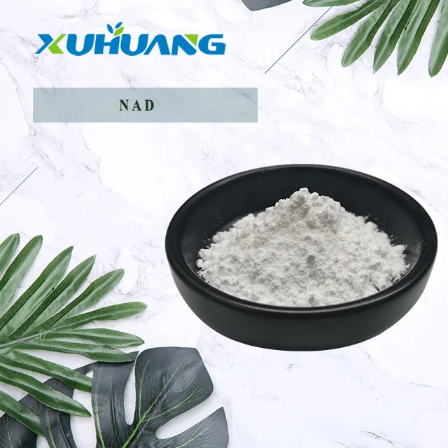 Factory Direct Supply High Purity NAD Powder| Alibaba.com