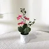 Pattern rose red