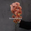 Orchidée Phalaenopsis 3D à 7 têtes orange vif
