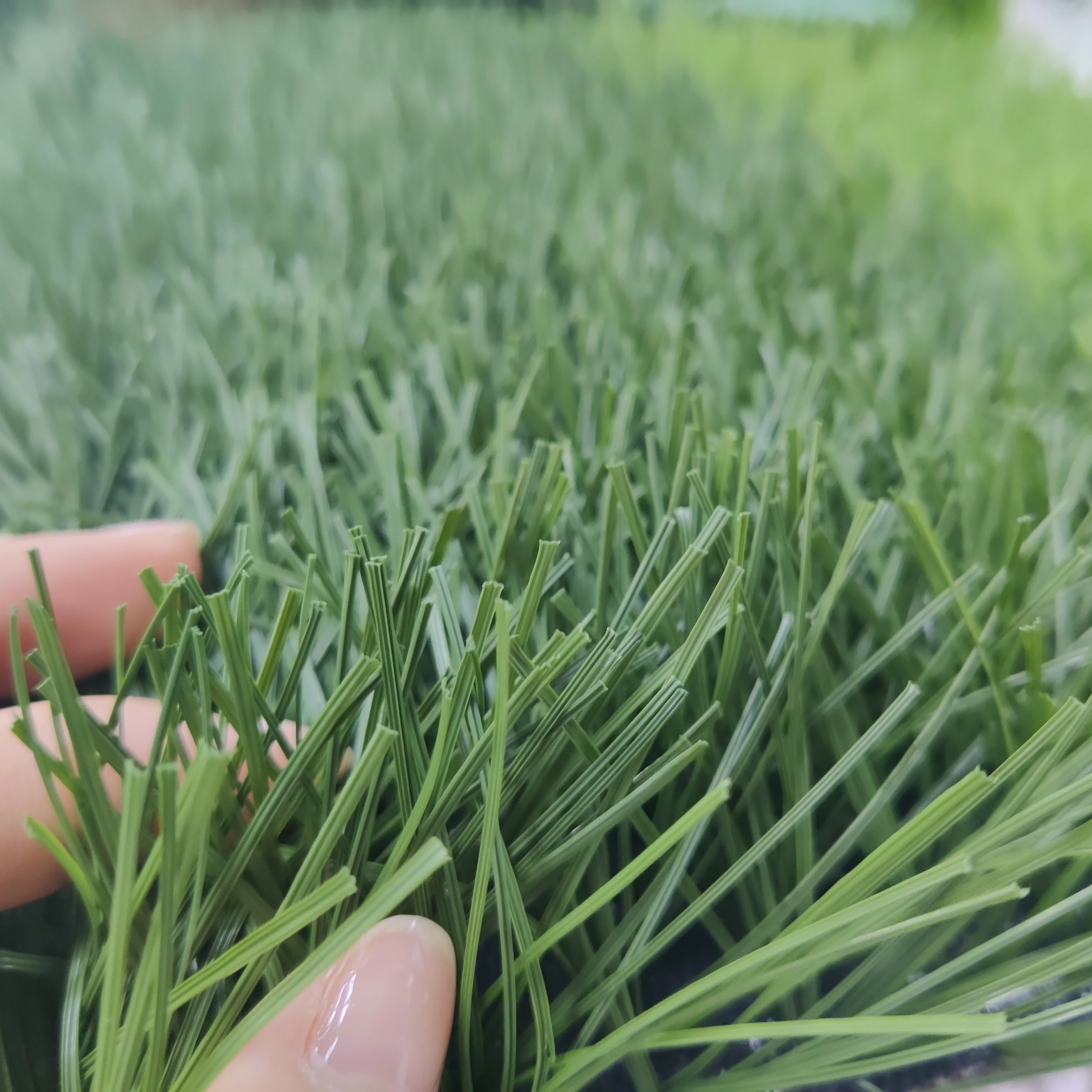 Professional Soccer Grass and Soccer Turf for School and Stadium in South Africa