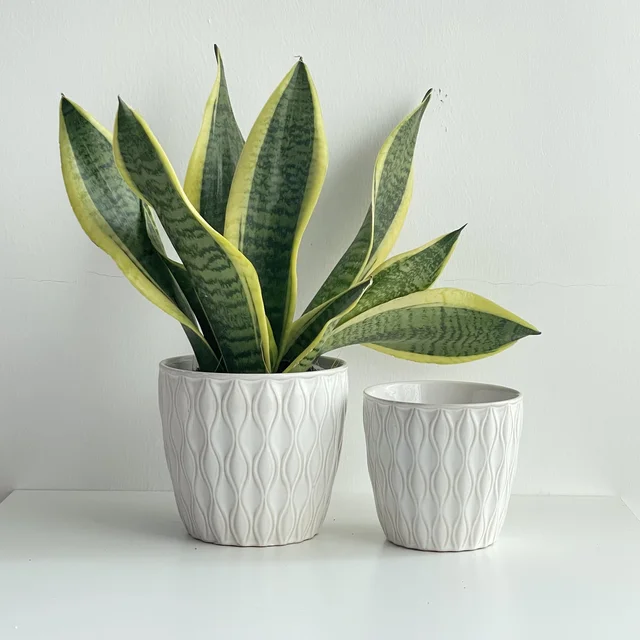 Wavy Relief Design Ceramic Flower Pot Home Garden Planters for Indoor Outdoor