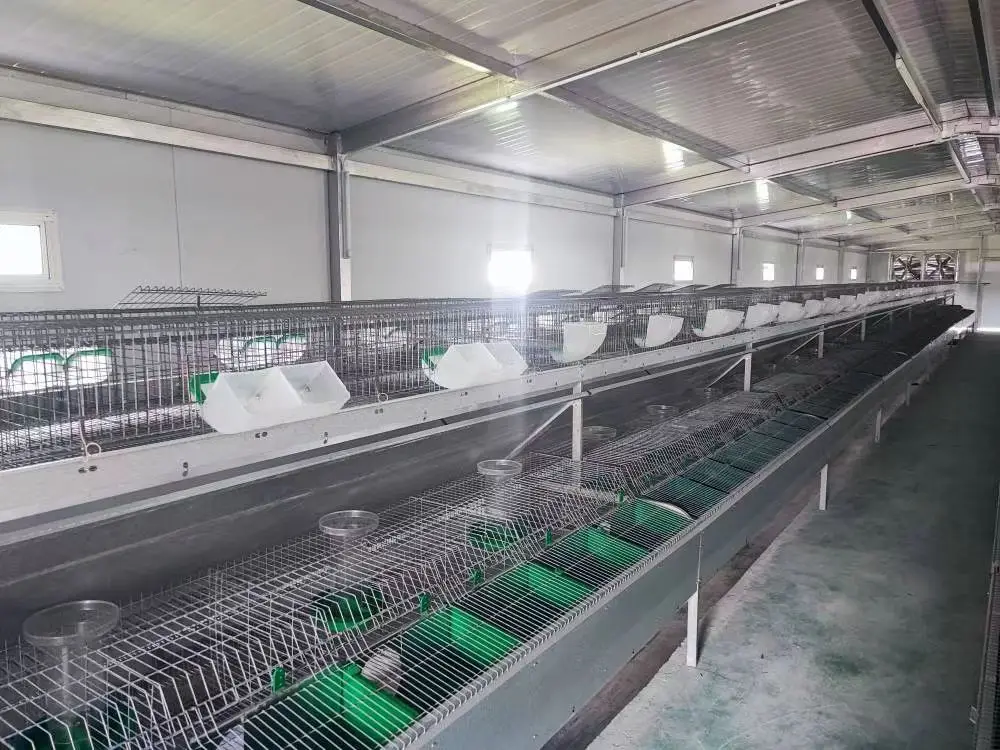 Galvanized Rabbit Farming Meat  Rabbit Cages for Uganda Farms