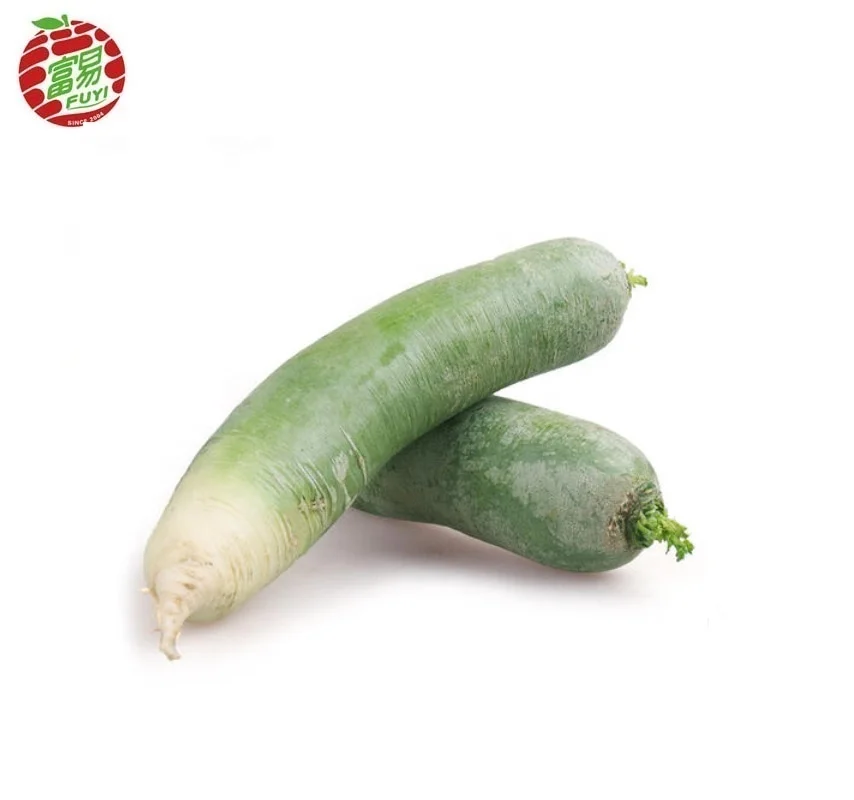 fresh-chinese-green-radish-for-wholesaler