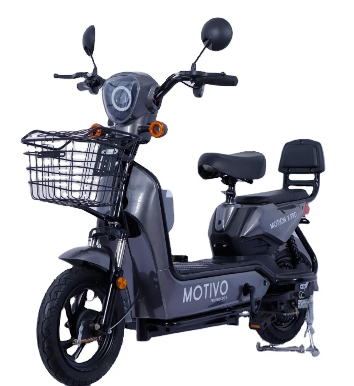 Cheap Price Samakat Model Golden Eagle Electric Bike