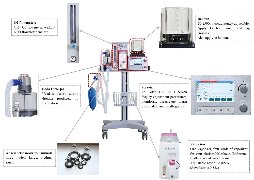 Superstar 2023 Anesthesic Machine Universal Anesthesia Machine For Animals Dm6b Buy Anesthesic