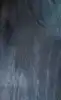 B9