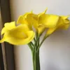 1 yellow with white center