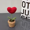 Planta en maceta roja en forma de corazón