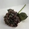 Pellicola da 50 cm autunnale grande ortensia marrone scuro